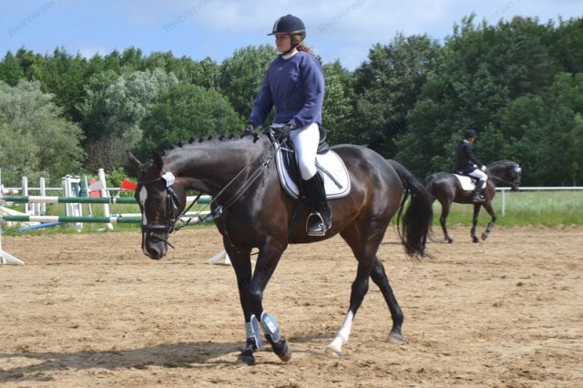 reitertag 2013 21